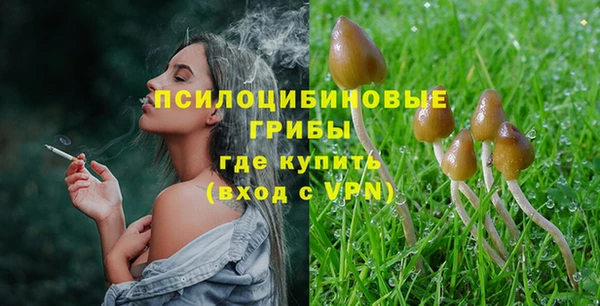 тгк Алексин