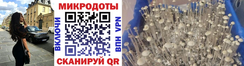 KRAKEN как зайти  Кондопога  Псилоцибиновые грибы GOLDEN TEACHER  где купить наркотик 