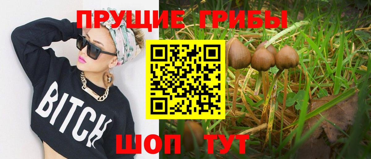 Галлюциногенные грибы прущие грибы  Псилоцибиновые грибы MAGIC MUSHROOMS  Вход с VPN  Кондопога 