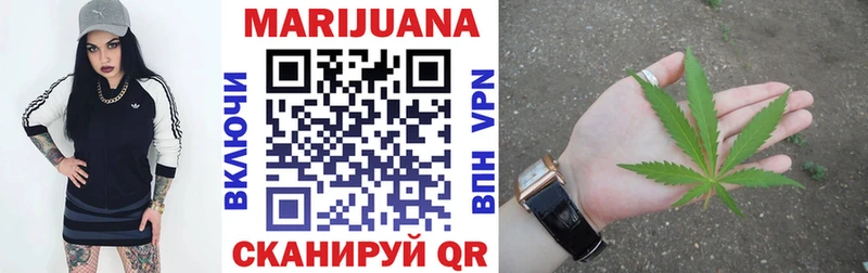 где купить наркоту  Кондопога  Бошки Шишки сатива 